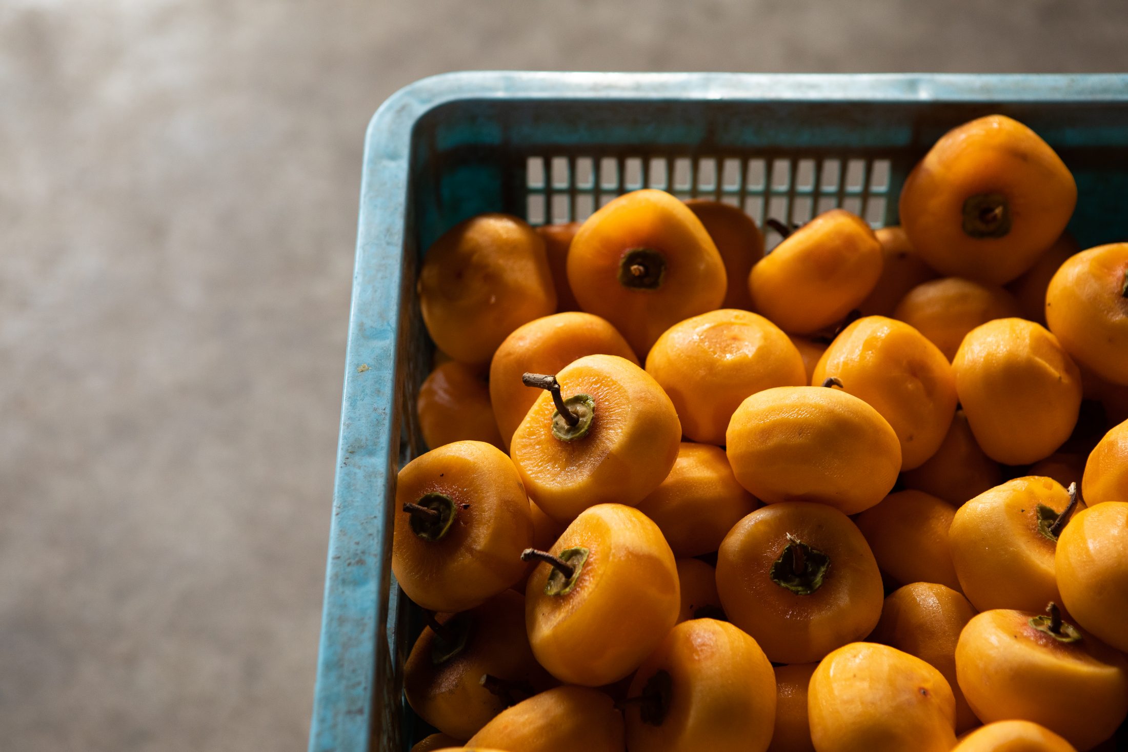 こだわりの紅柿づくり