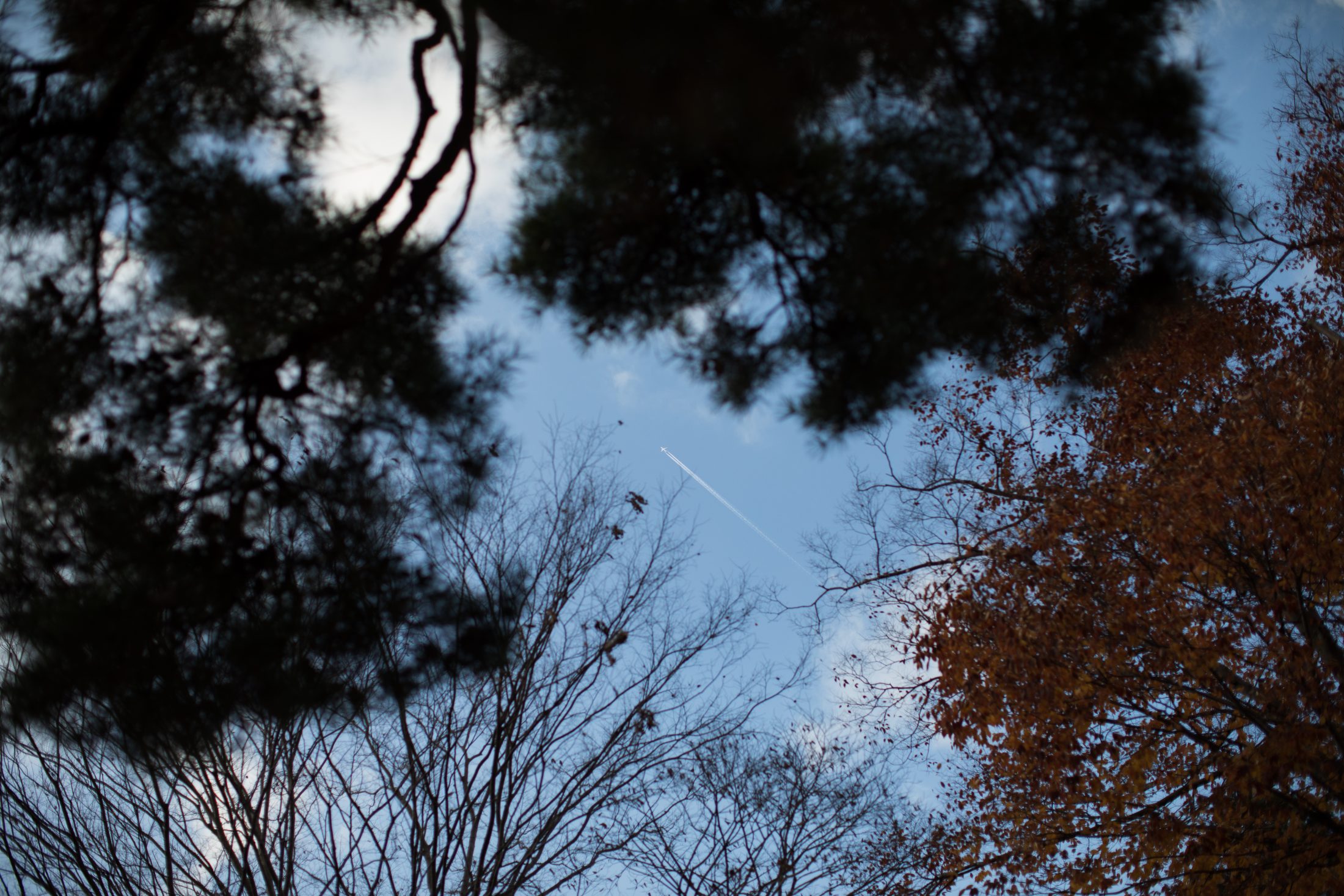 大ホラ吹き住職の上山誕生物語