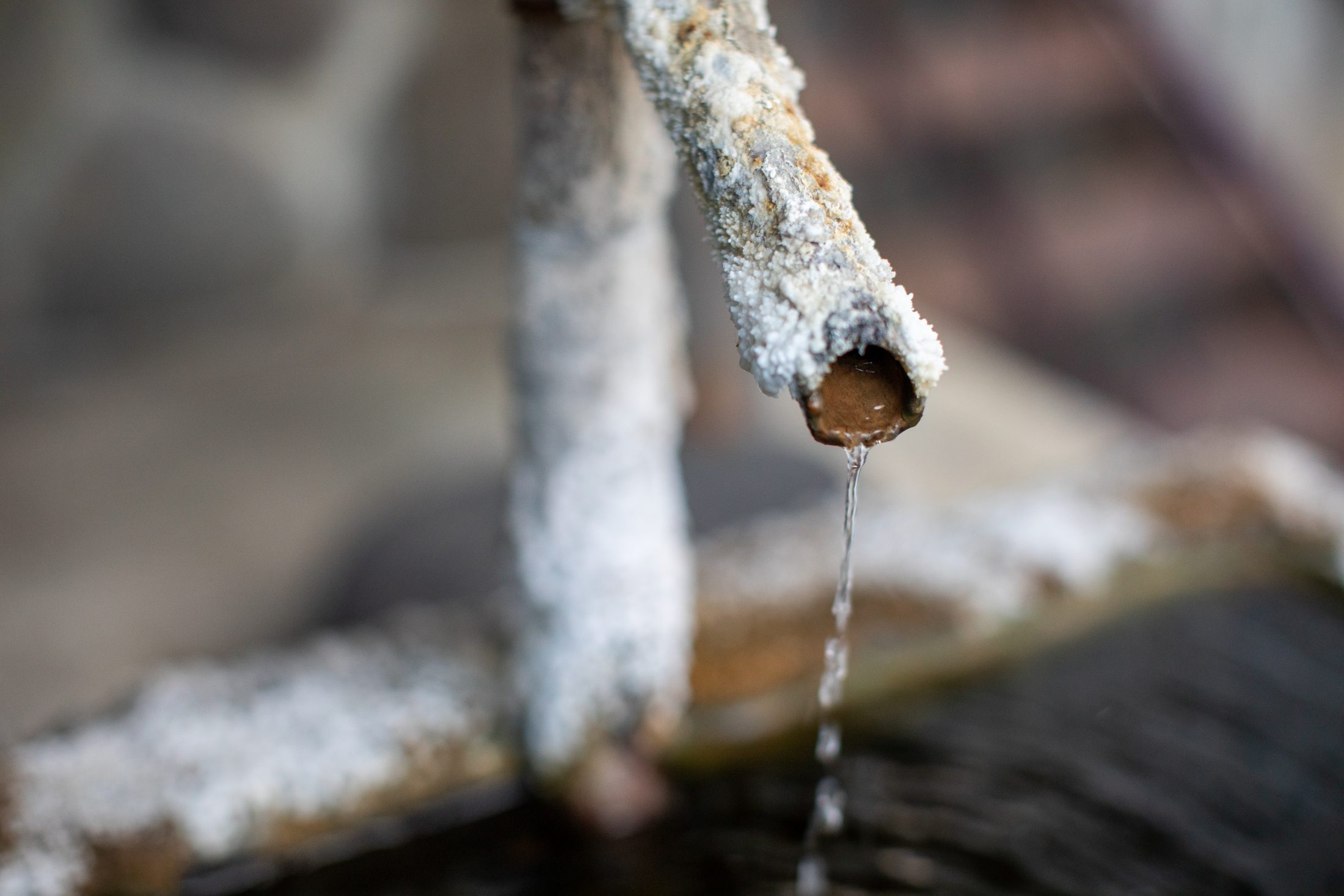 大ホラ吹き住職の上山誕生物語