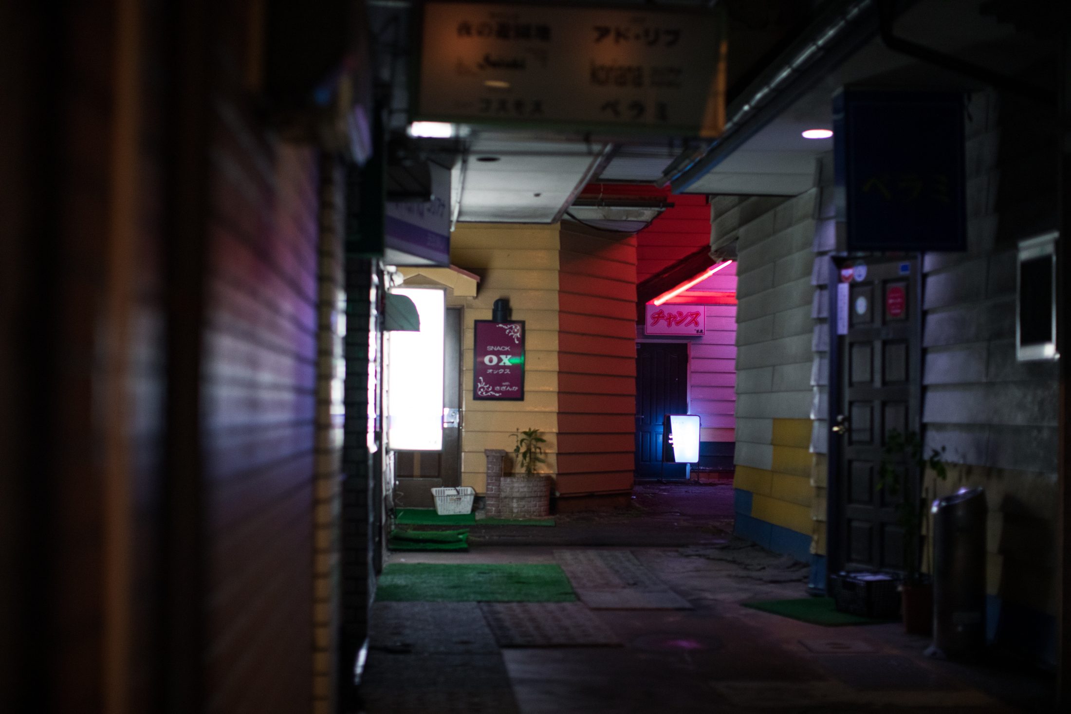 娯楽と欲望の町を見つめて