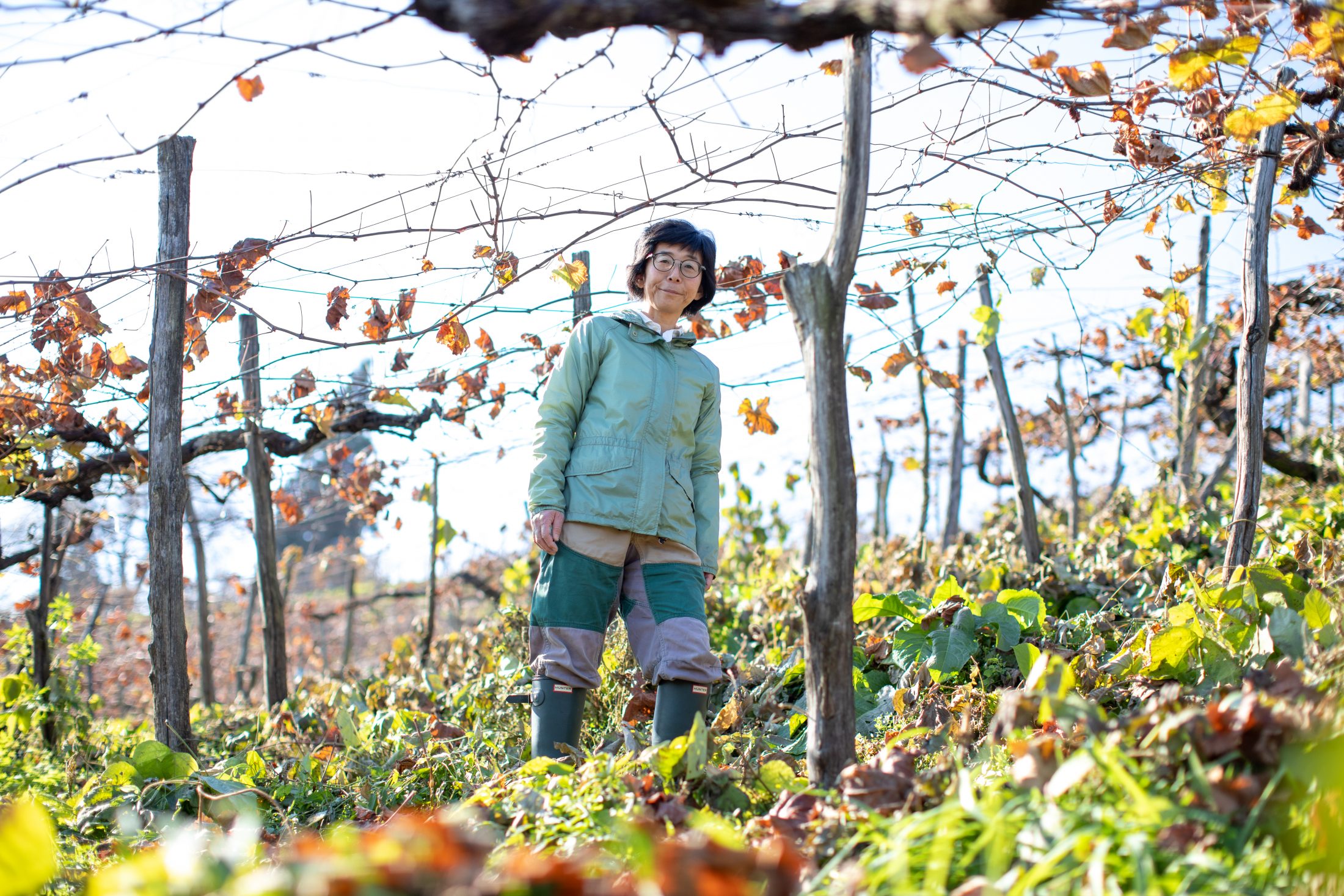 上山の風景が浮かぶワインを