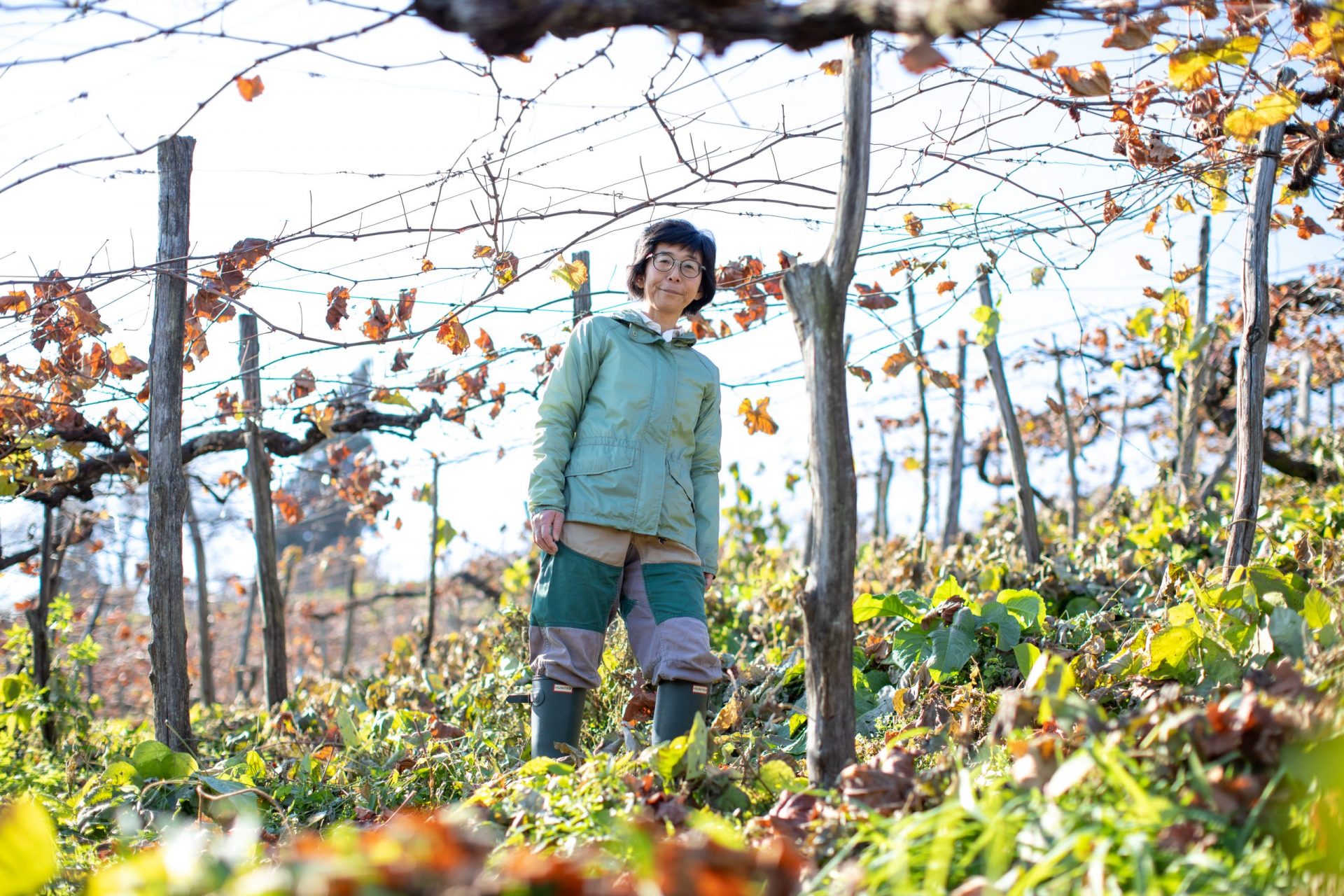 上山の風景が浮かぶワインを