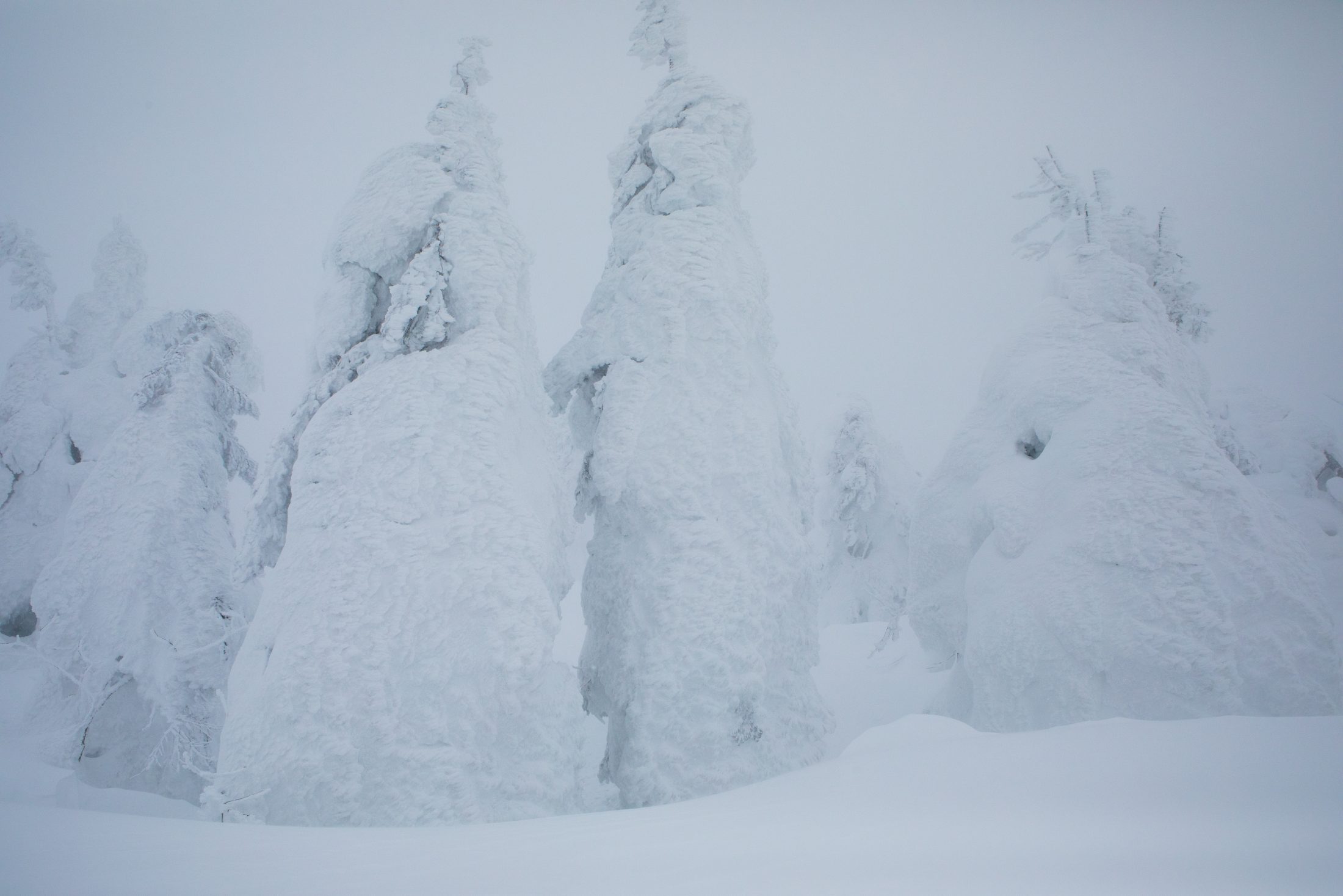 蔵王で紡いできた山の暮らし