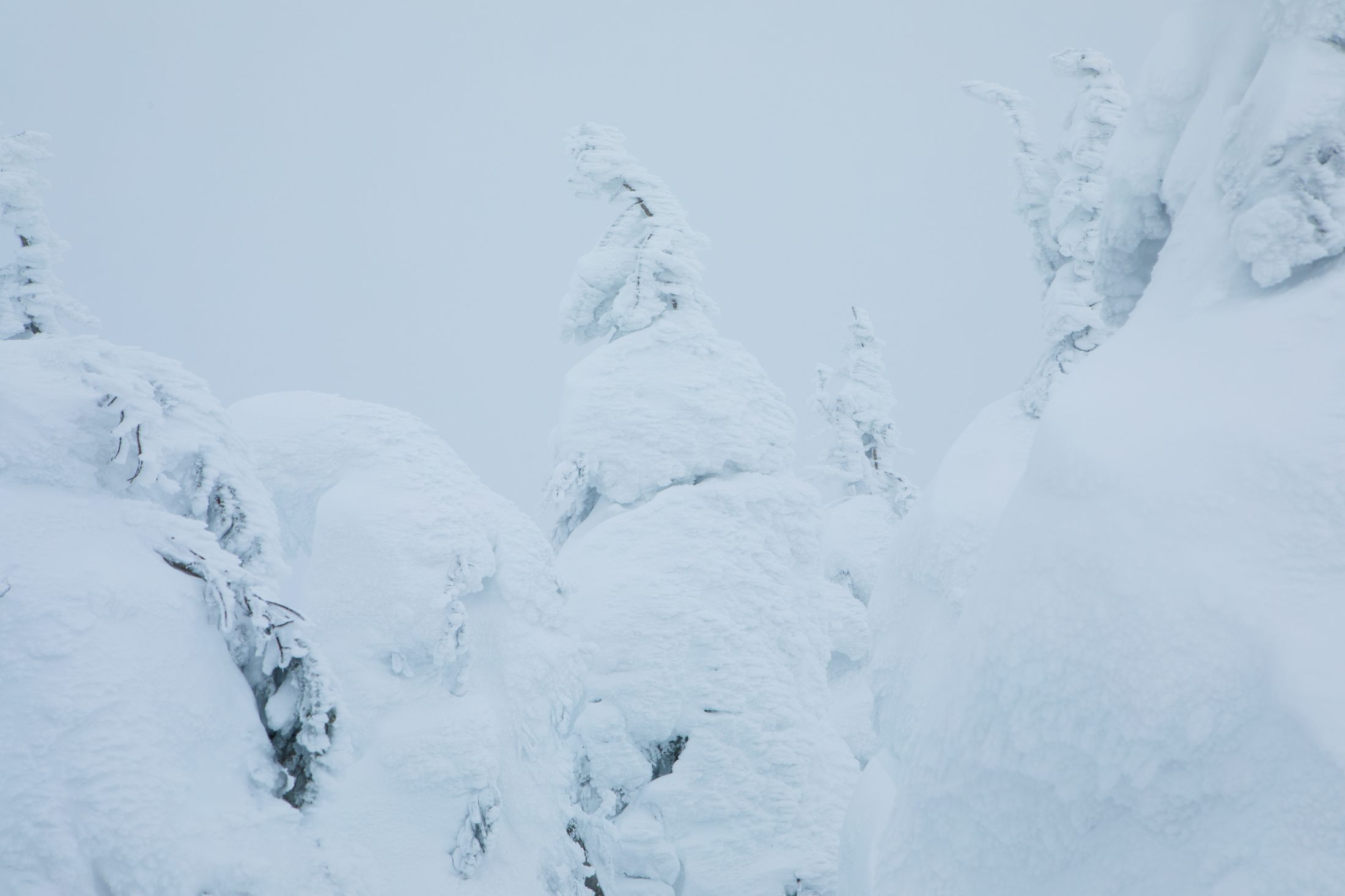蔵王で紡いできた山の暮らし