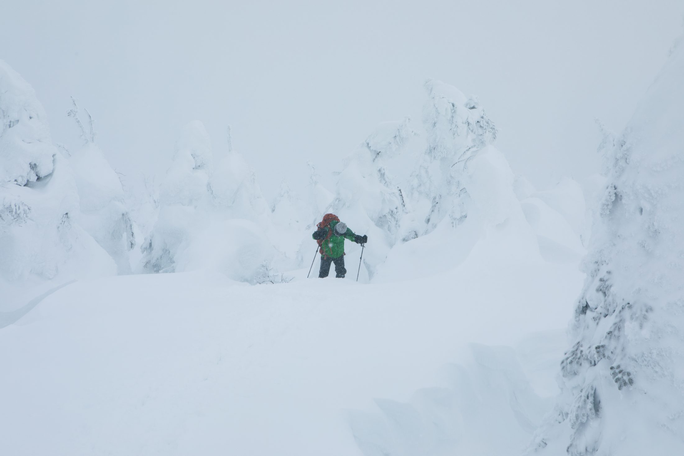 蔵王で紡いできた山の暮らし