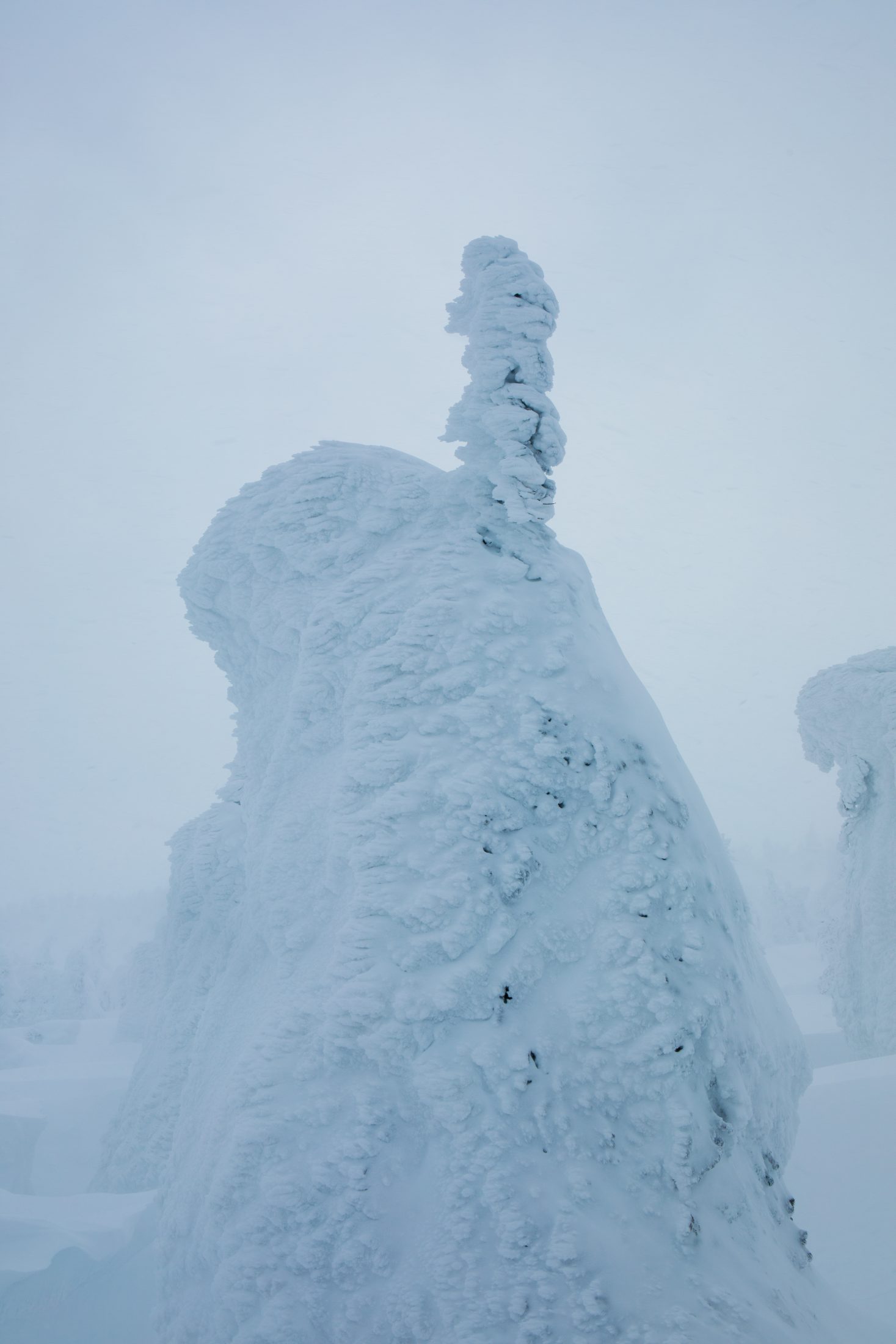 蔵王で紡いできた山の暮らし