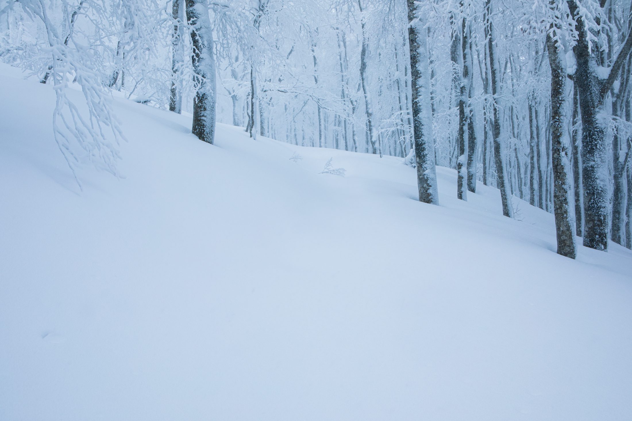 蔵王で紡いできた山の暮らし