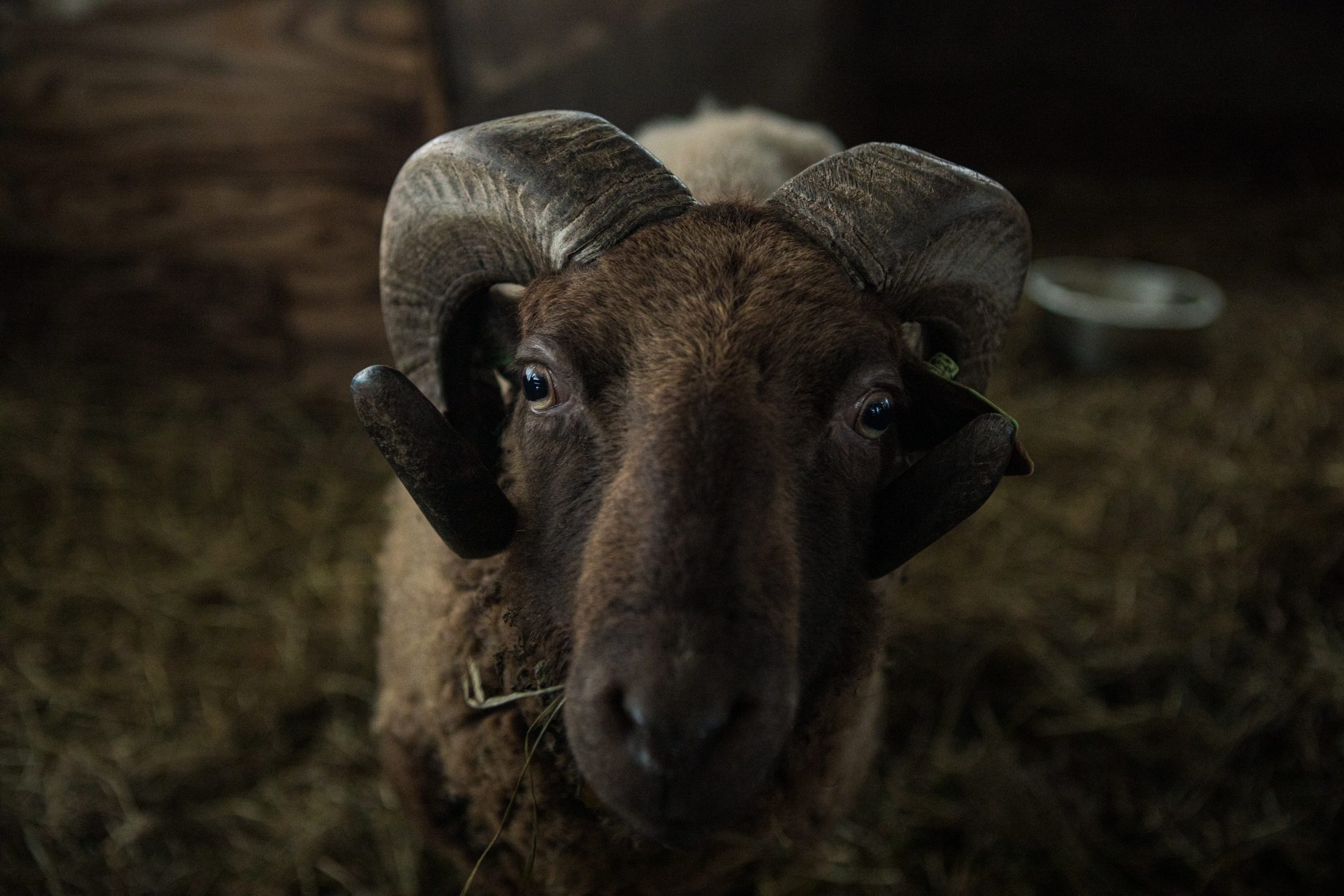 蔵王で紡いできた山の暮らし
