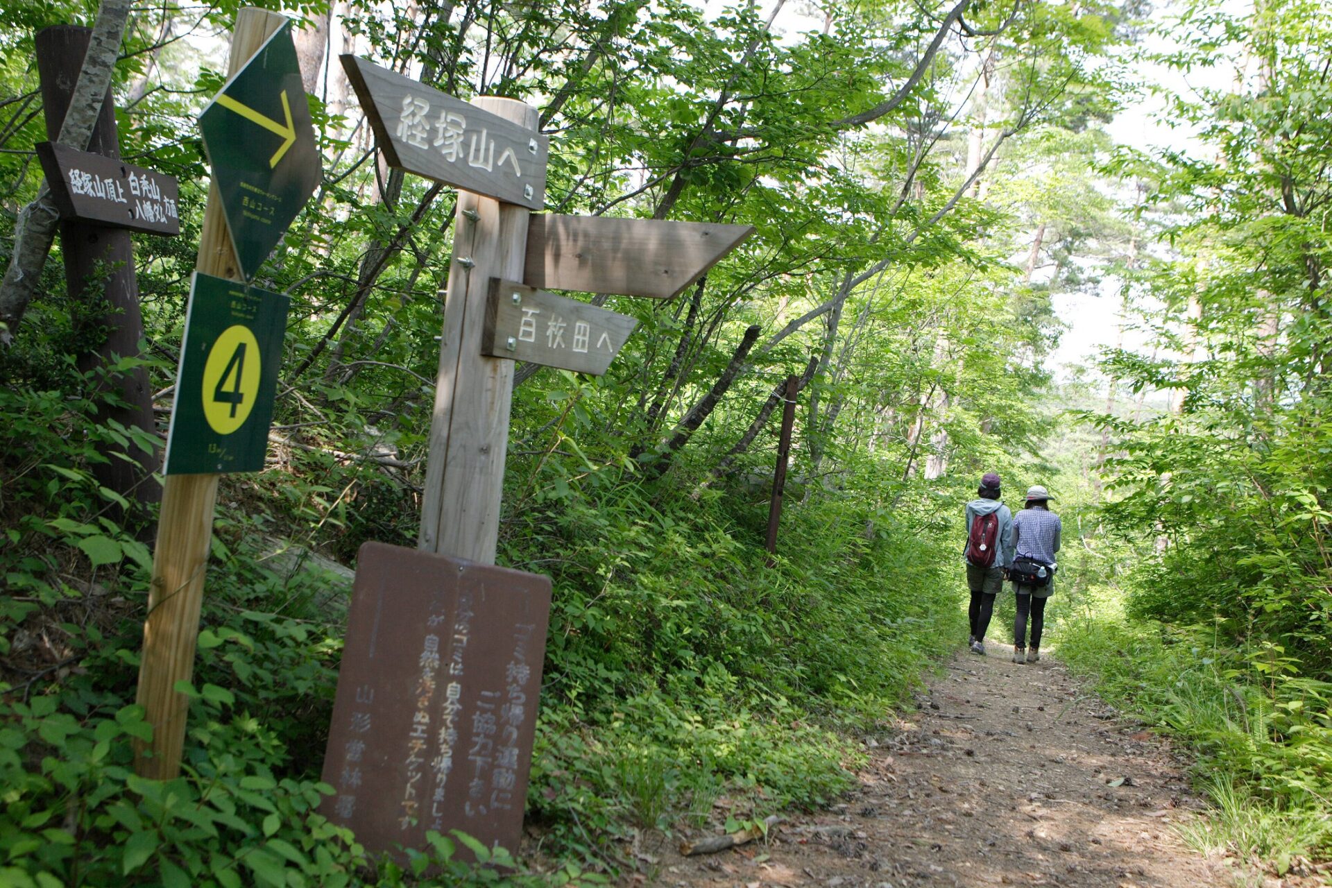 毎日ウォーキング　6月カレンダーできました♪