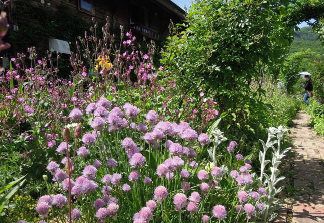 2021年　蔵王ペンション村オープンガーデン　開催中