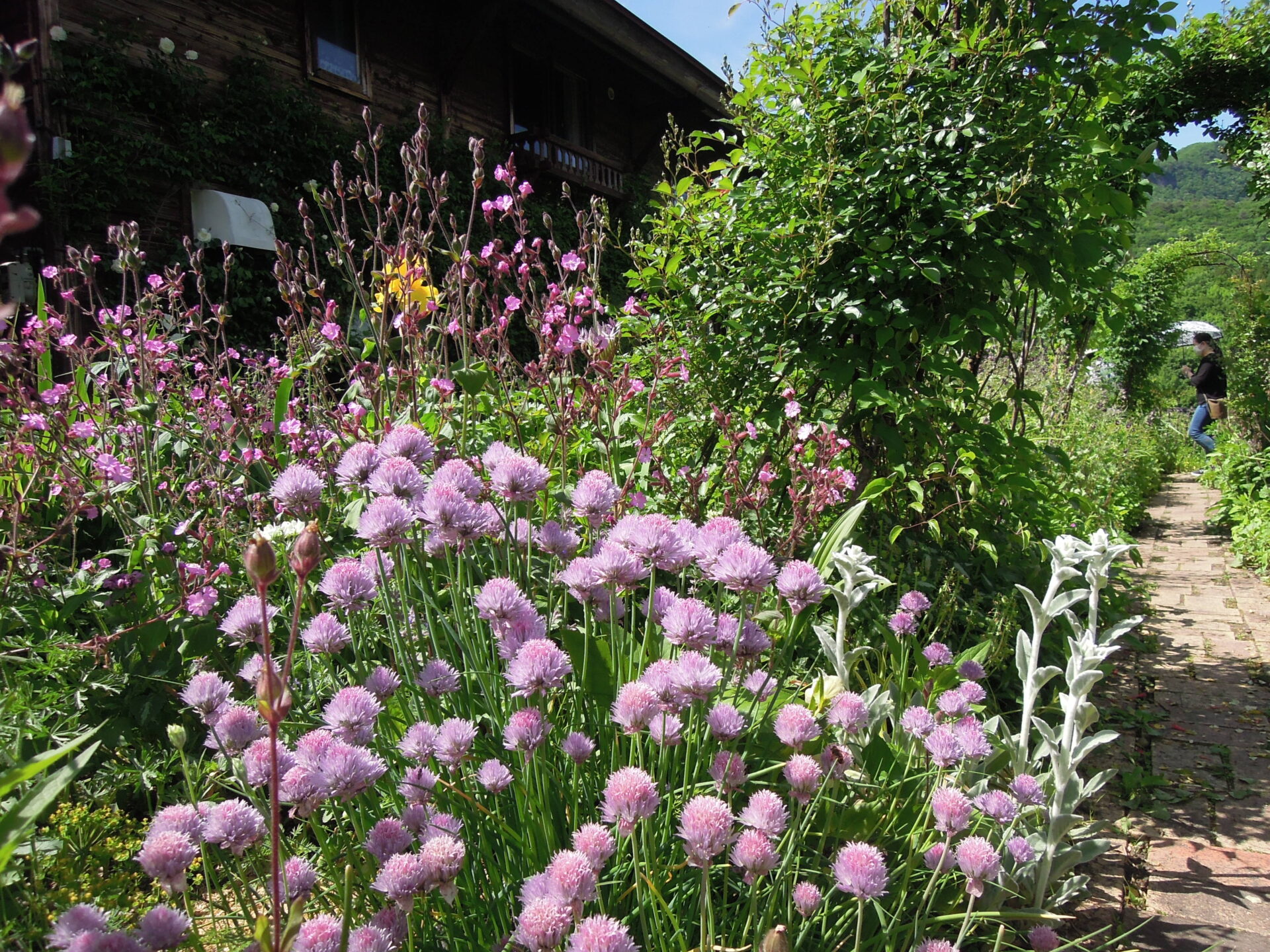 2021年　蔵王ペンション村オープンガーデン　開催中