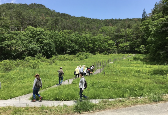 毎日ウォーキング5月カレンダーできました♪