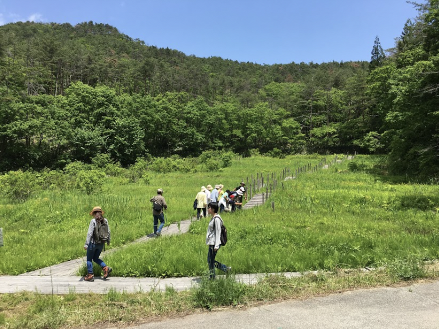 毎日ウォーキング5月カレンダーできました♪