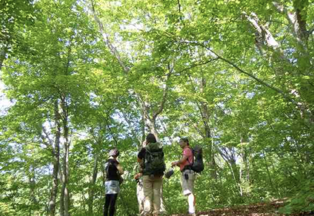空色（そらいろ）・暮色（くれいろ）ウォーキング