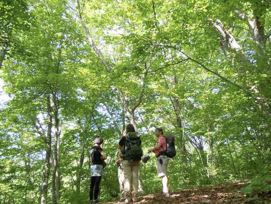 空色（そらいろ）・暮色（くれいろ）ウォーキング