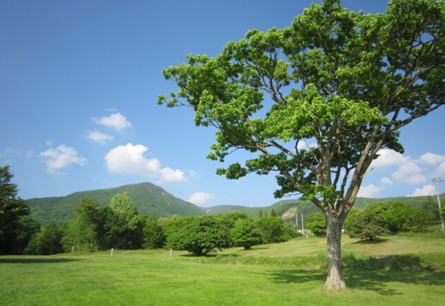 ペンション（蔵王ペンション村、蔵王坊平高原ペンション村、その他）