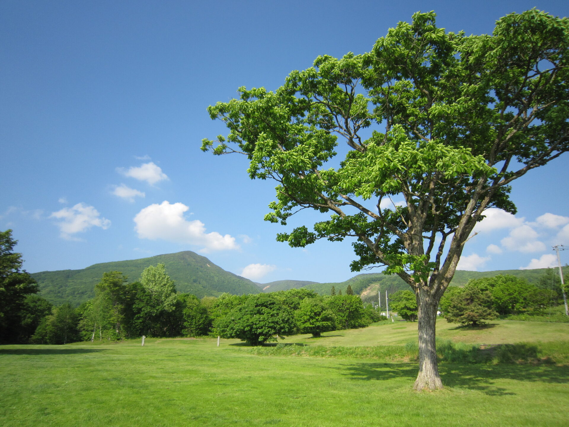ペンション（蔵王ペンション村、蔵王坊平高原ペンション村、その他）