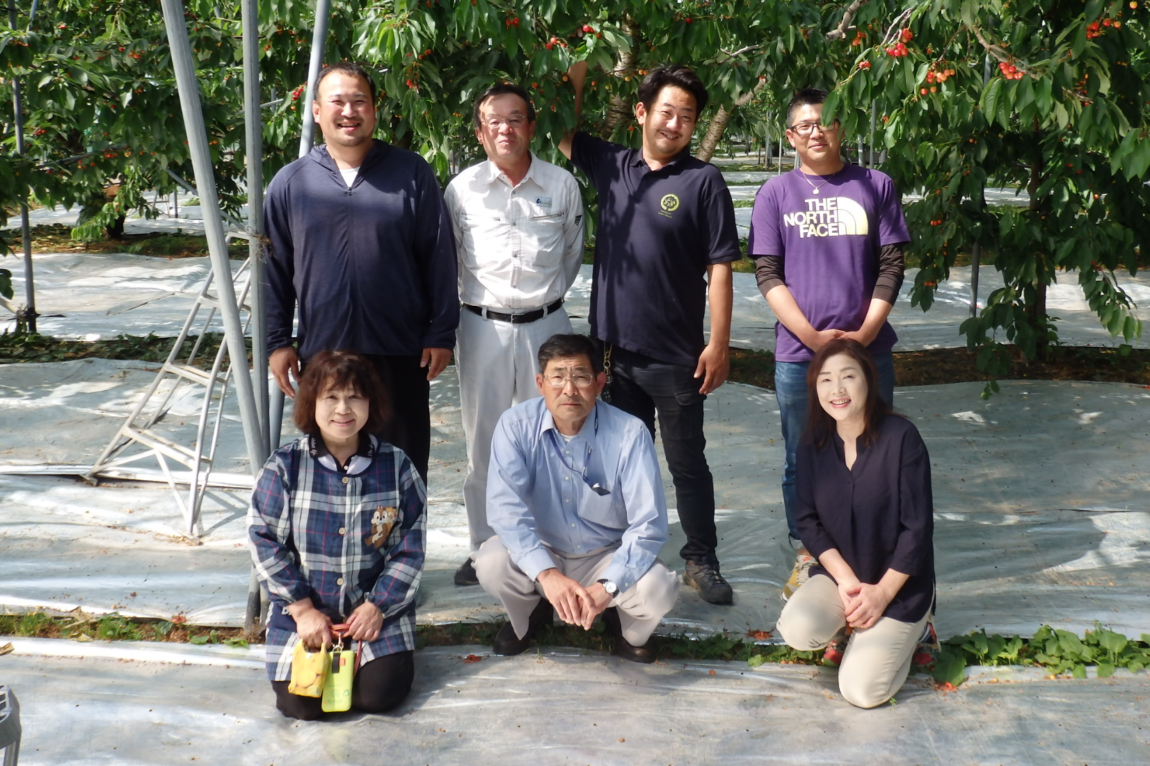 さくらんぼ狩りタクシー往復プラン 〈てんとうむしプラン〉